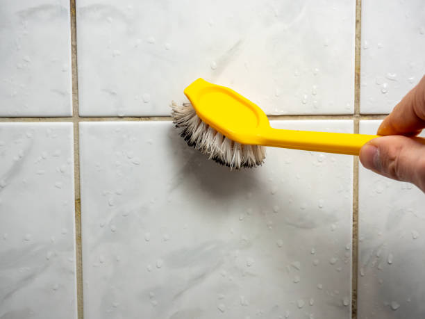 Best Mold Testing  in Holt, AL