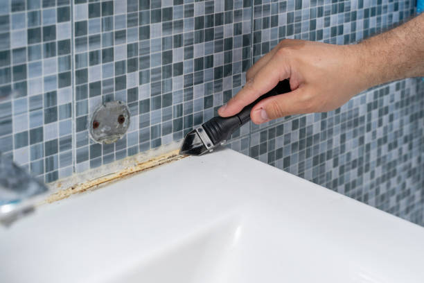 Best Local Mold Removal Service  in Holt, AL